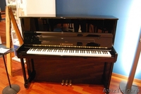 Продам новое пианино производства C.Bechstein Чехия. - Изображение #4, Объявление #416994