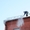 Уборка очистка снега сосулек с крыш Ижевск Ижевска #126360