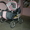 продажа детской коляски для двойни #328823