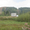 садоогород Чекерил (Механизатор) 15 сот. рядом с прудом, вид на склон горы ФОТО - Изображение #1, Объявление #533977