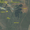 садоогород Чекерил (Механизатор) 15 сот. рядом с прудом, вид на склон горы ФОТО - Изображение #2, Объявление #533977