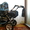 Продается коляска-трансформер зима-лето #713175