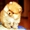 Продам щенком померанского миниатюрного шпица - Изображение #1, Объявление #1110068