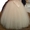 Продам свадебное платье цвета Айвори коллекции 2014 года! #1131624