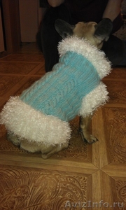 вязанная одежда для собак - Изображение #3, Объявление #504595