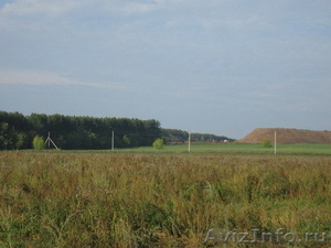 земельный массив ИЖС 330га рядом с п.Шудья, наличие ТУ на свет и газ - Изображение #2, Объявление #703861