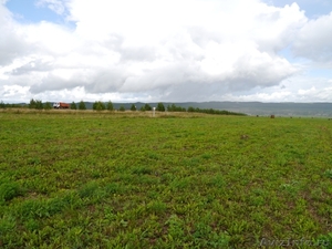Продам 115 Га земли СХН, Сарапульский район - Изображение #3, Объявление #802249